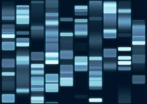 Der genetische Code befindet sich in de DNA