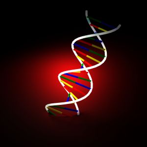 Das Modell zum Genom wird neue Funktionen der Proteine entdecken