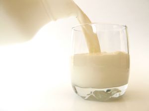 Milch ist ein an Proteinen reiches Nahrungsmittel